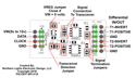 differential SPI, pixel, CLK, DAT, clock, data